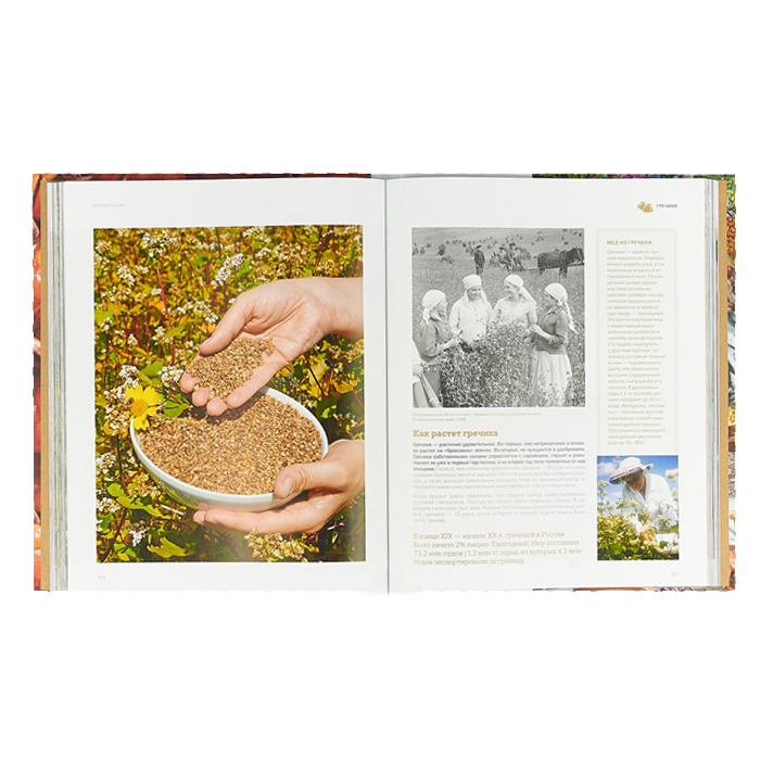 Вкусная Россия. Деликатесы с историей