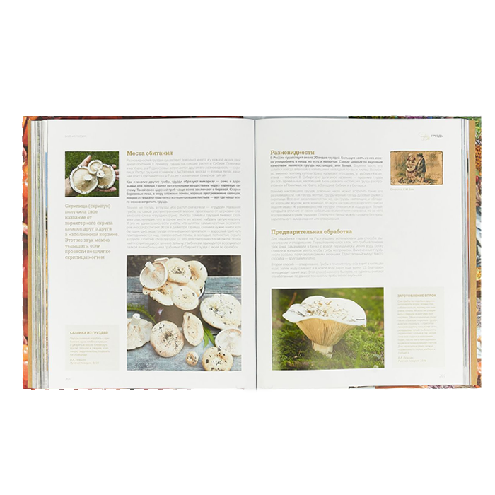 Вкусная Россия. Деликатесы с историей